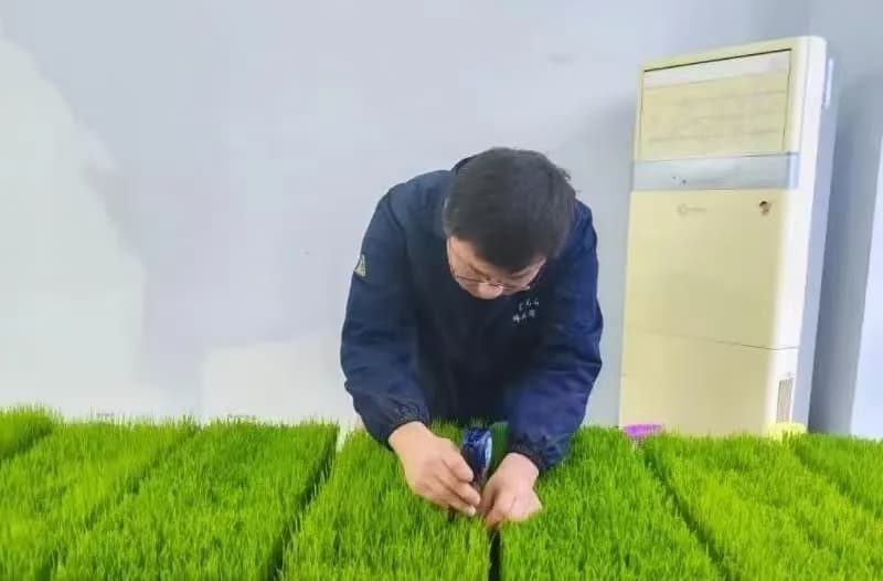 建三江分公司：科学备春耕 筑牢粮食丰产根基