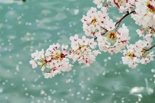 十八首绝美古诗词里，迎一场久违的春暖花开