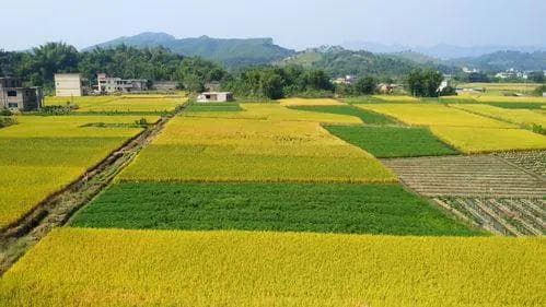 二月廿二开光吉日，牢记‘3菜上桌，2事不做’，老传统助家宅兴旺