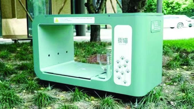南京小区连续4年为流浪猫搭暖窝，科学管理让流浪猫数量趋于稳定