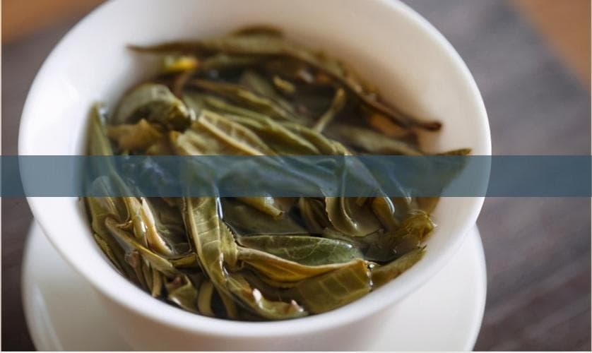 普洱茶知识：从饮用方法到健康益处的全面指南