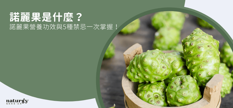 诺丽果是什么？诺丽果营养功效与5种禁忌一次掌握！