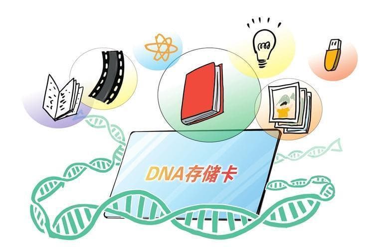 数据存储迎来革命性突破：DNA存储技术优势显著，商业化前景广阔