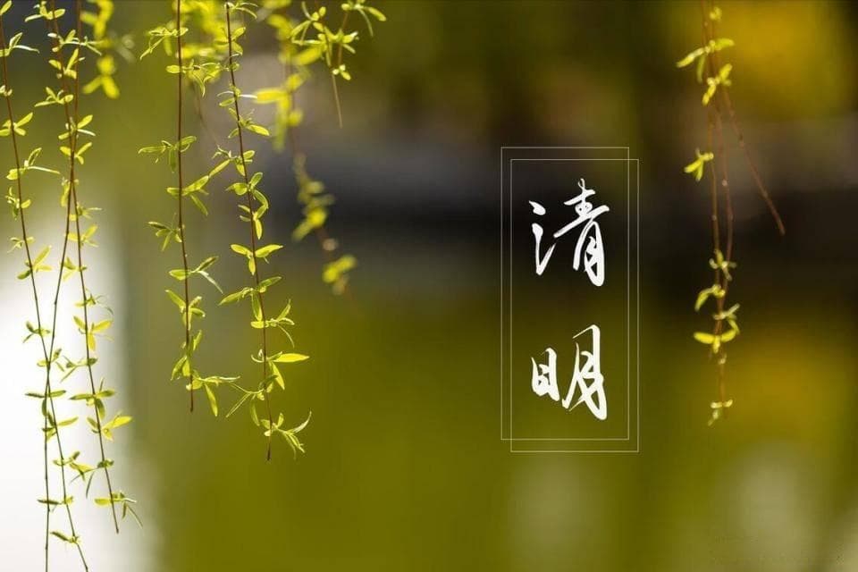 清明扫墓，老祖宗留下的“4个规矩”要牢记，尊重传统，祈福安康