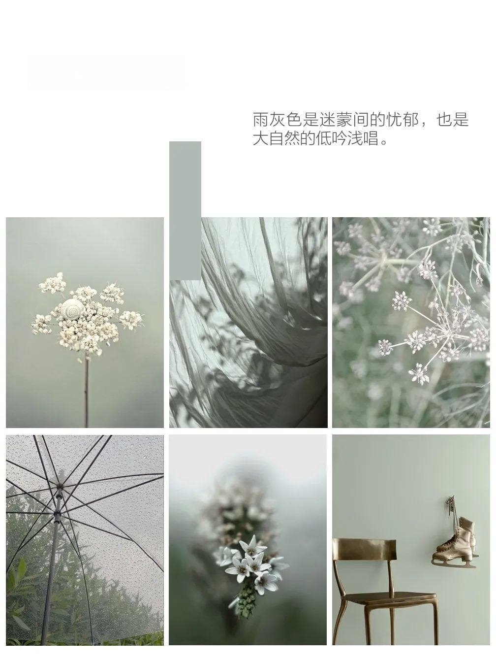 遇见色彩 | 清明时节雨纷纷，沉静雨灰色陪你共赴清明