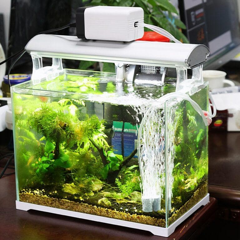 养观赏鱼需要增氧泵吗（增氧泵作用及选购技巧）