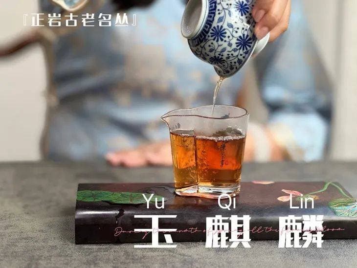 青草味、青苔味、返青味、丛味，争议不断的岩茶味道，你分得清吗