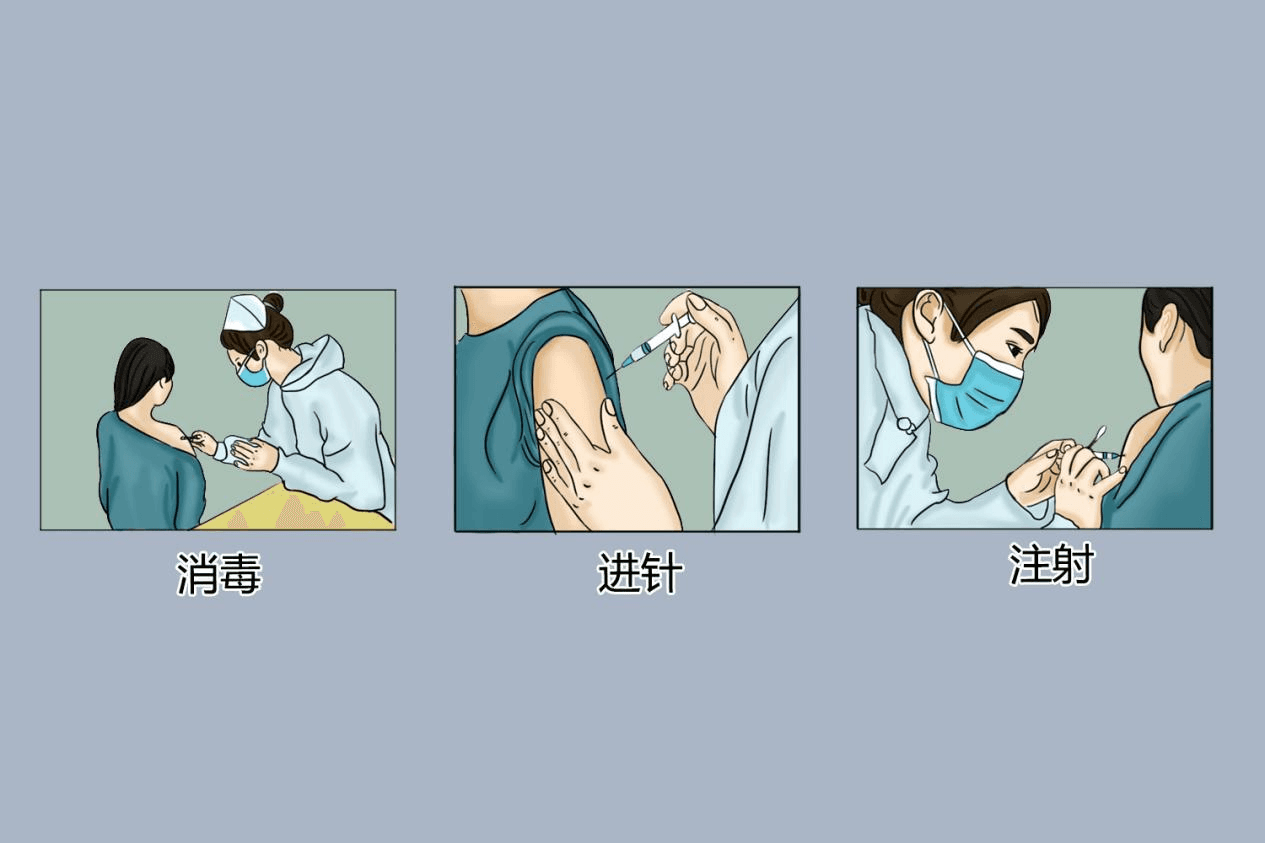 己酮可可碱注射液功效与作用