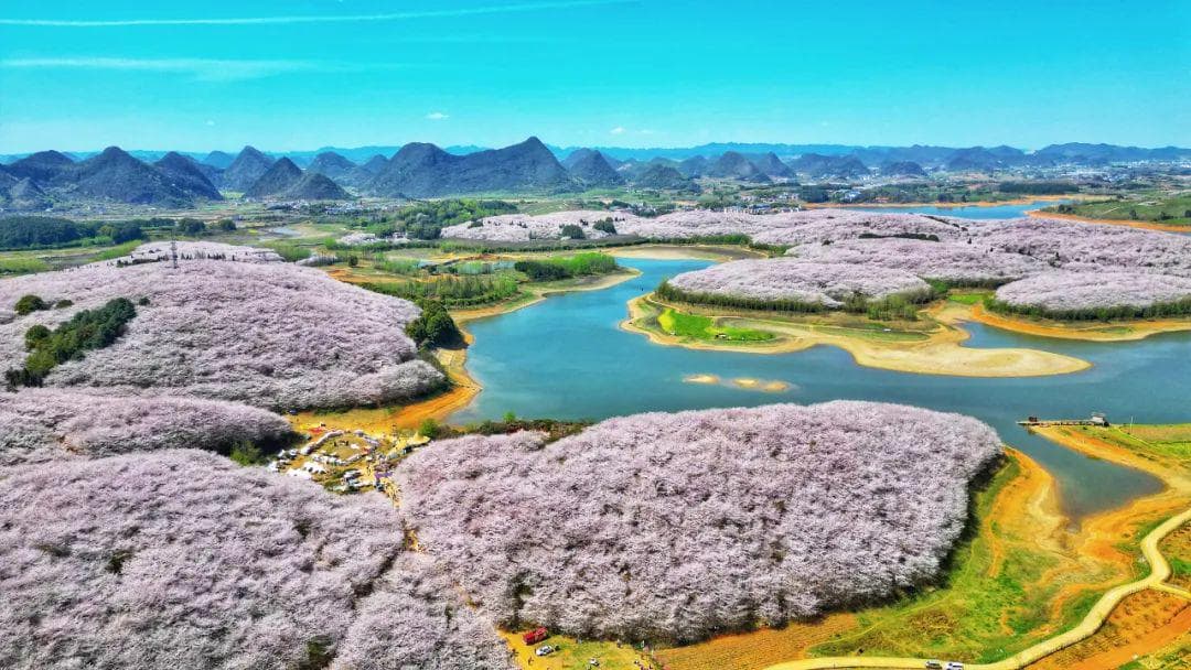 2025年贵阳贵安赏花季“花样”多