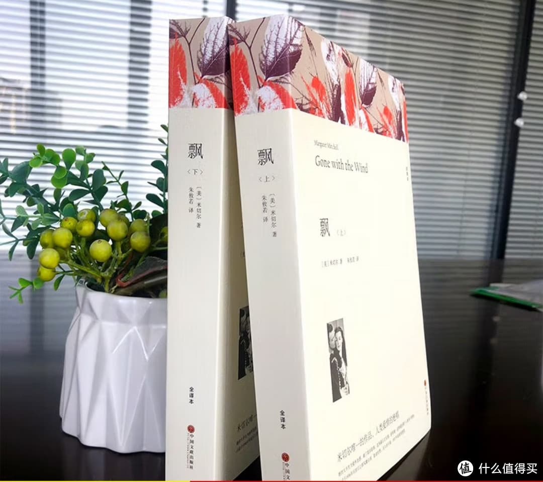 读《飘》：邂逅强大的女性力量