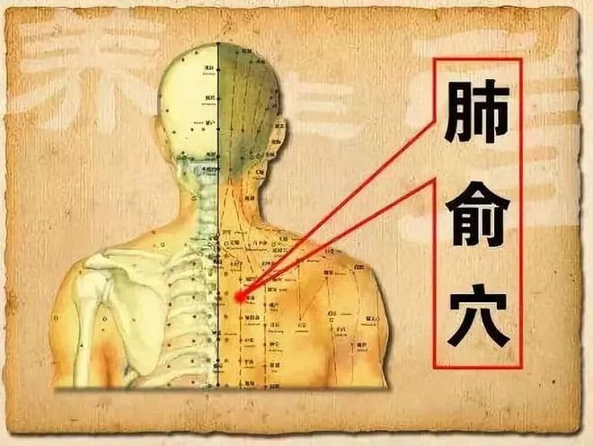 冬天用好一块姜，全身都健康！最全“姜”功大盘点！