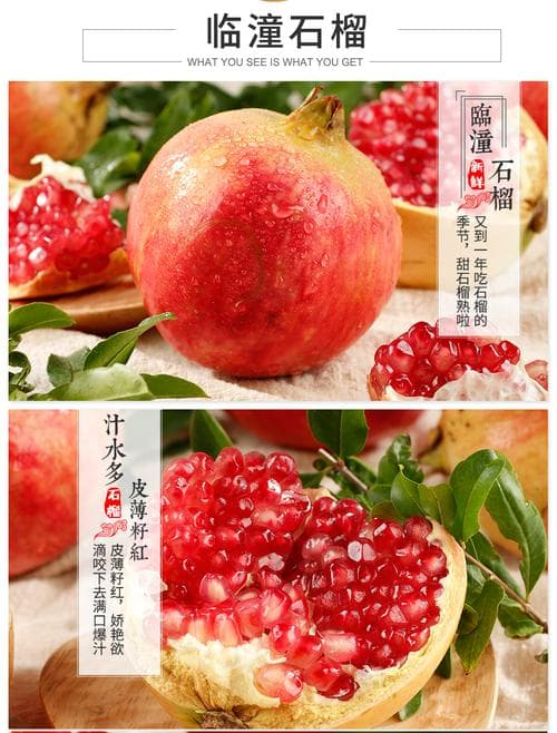 陕西石榴旅游攻略，陕西哪产石榴