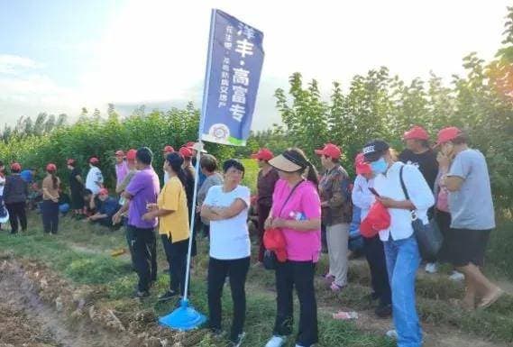 遍地生花，“高富专”助力小花生撑起河北农户增收大产业