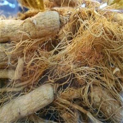 太子参：功效与应用全解析