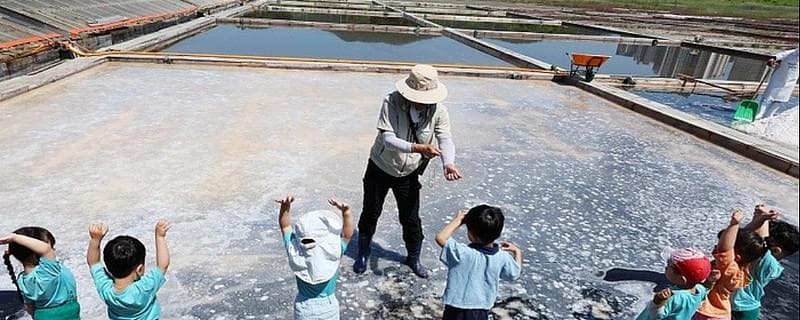 少子化阻碍经济发展！为了刺激生孩子，韩国日本有多拼？