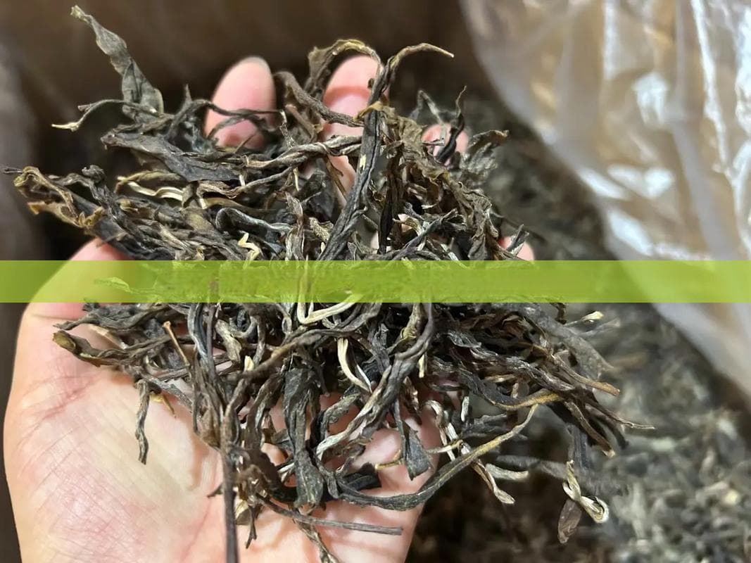 茶叶中的珍贵：碎银子茶的历史与制作工艺