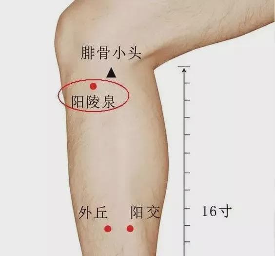 合阳穴：缓解背痛的秘密武器