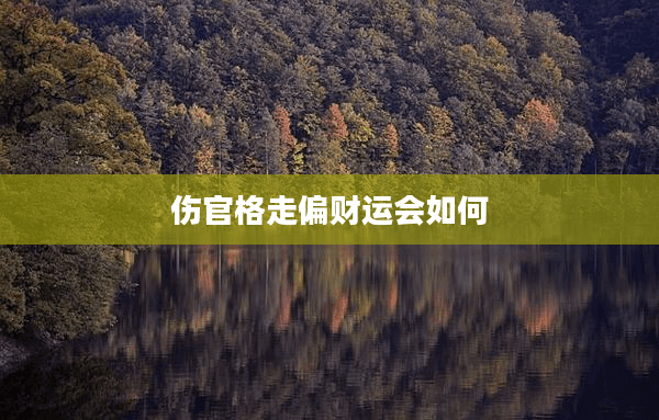 伤官格走偏财运会如何