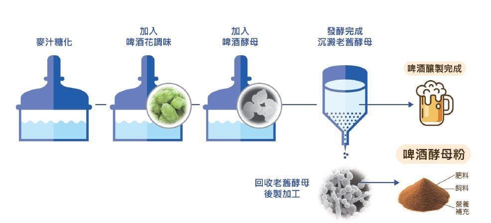 营养酵母VS啤酒酵母：同为酵母为何差别这么大？
