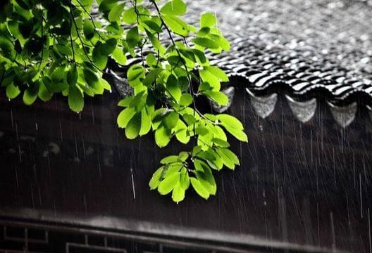 迎接梅雨季：生活小贴士助你度过潮湿时光