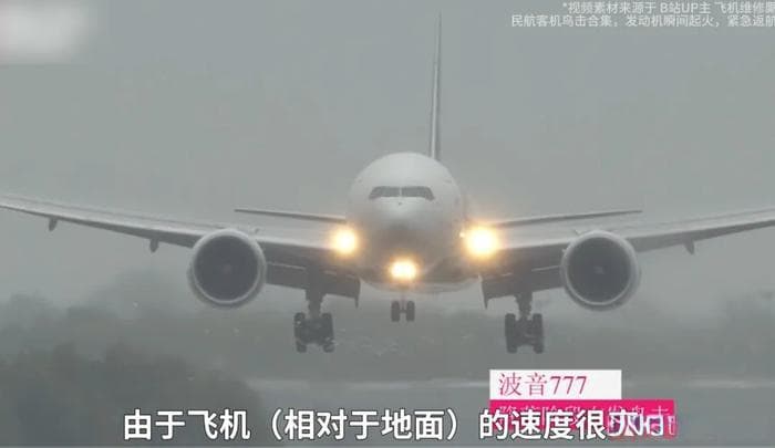 用质能方程解释飞机撞鸟，究竟错在哪里？