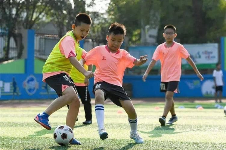 小学生课余生活指南：从体育运动到艺术培养的全方位活动推荐