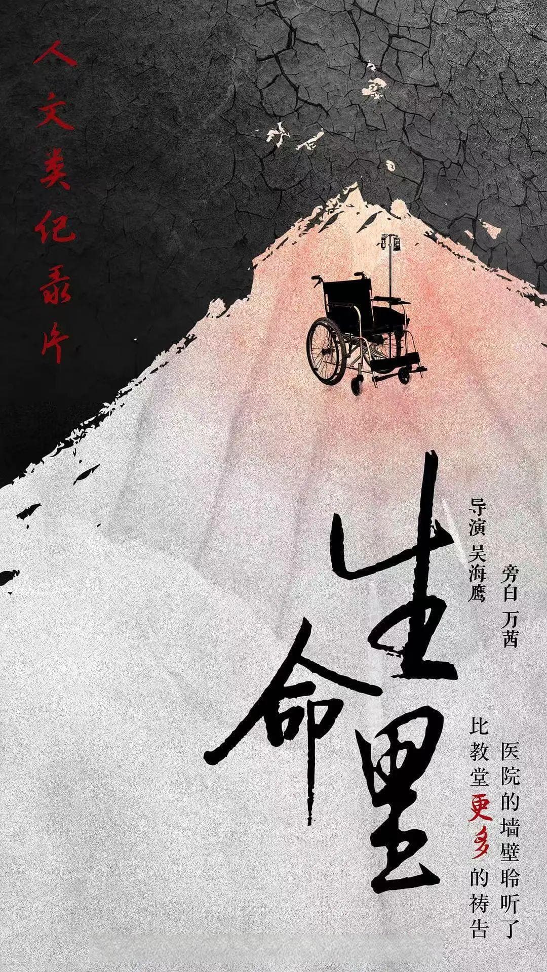 纪录片评论｜冯心虹：怎样走到人生终点？——基于《生命里》的临终关怀思考