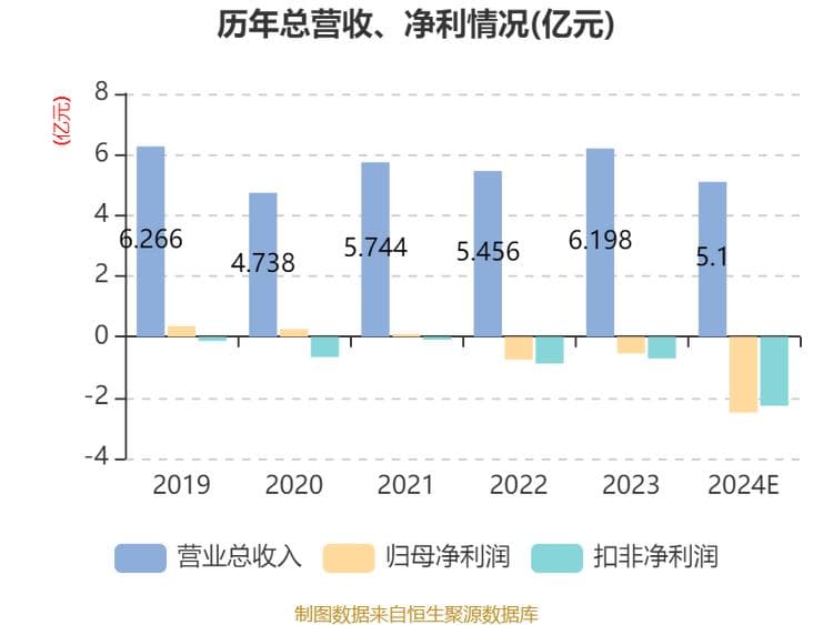 鸿博股份2024年预亏2亿元-2.99亿元，多因素致业绩大幅下滑