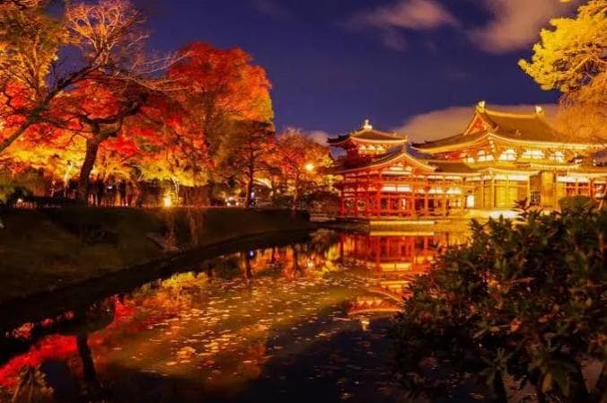京都四大世界遗产的红叶夜景：灯光映照下的千年古迹