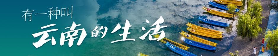 战时生命线 华侨英雄魂——云史：南侨机工