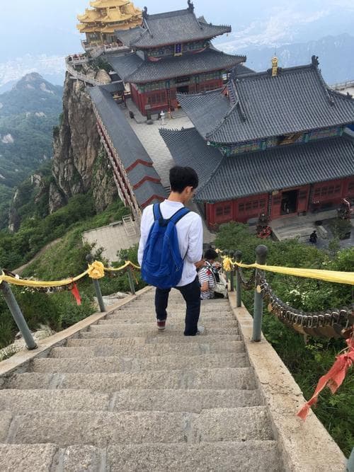 解锁老君山之旅必备清单，畅享人间仙境