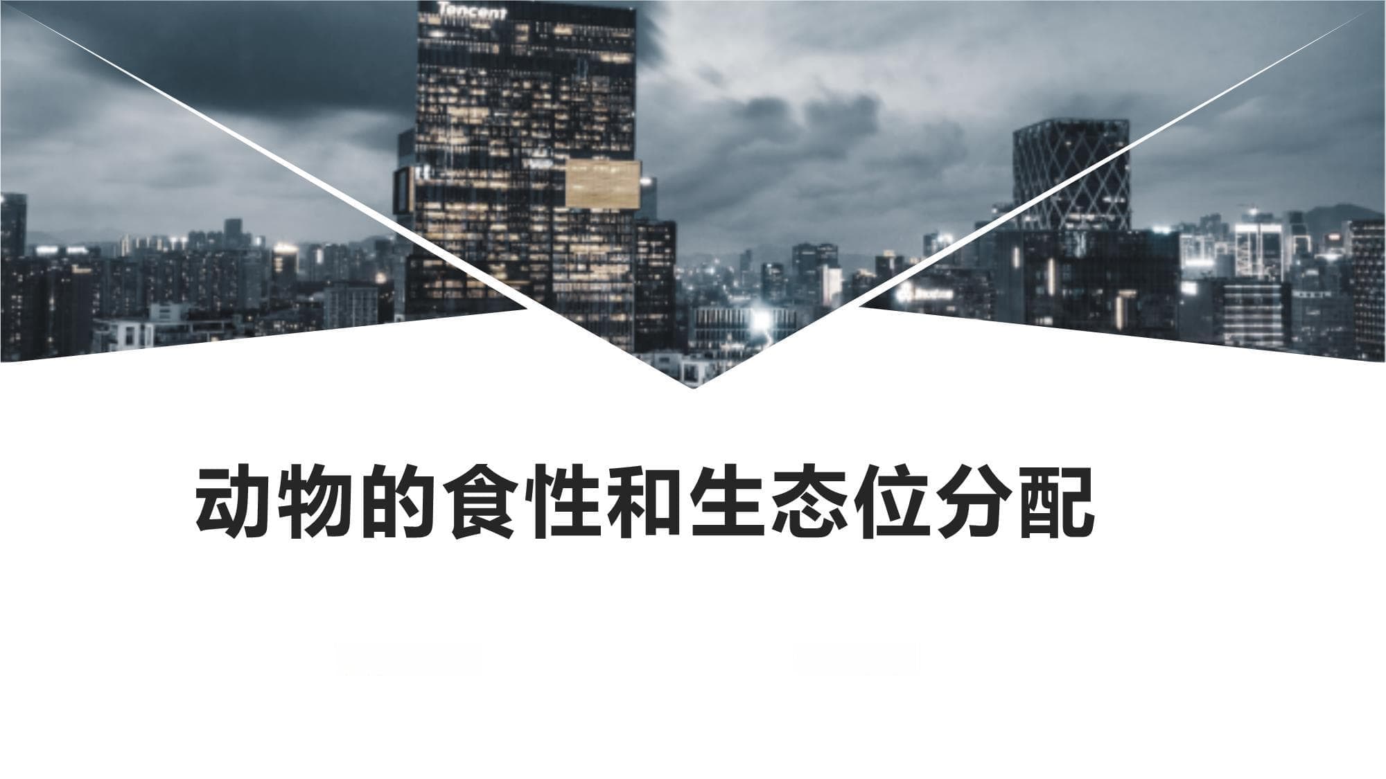 动物的食性和生态位分配