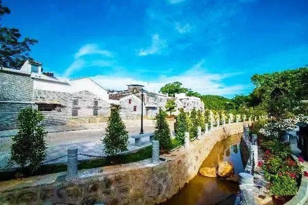 台山桂水村：从传统侨村到网红打卡地的美丽蝶变
