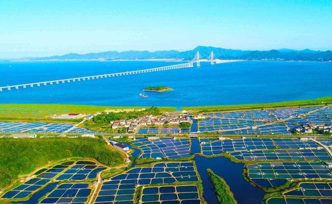 从象山港到翠屏山：宁波城市发展路径的思考