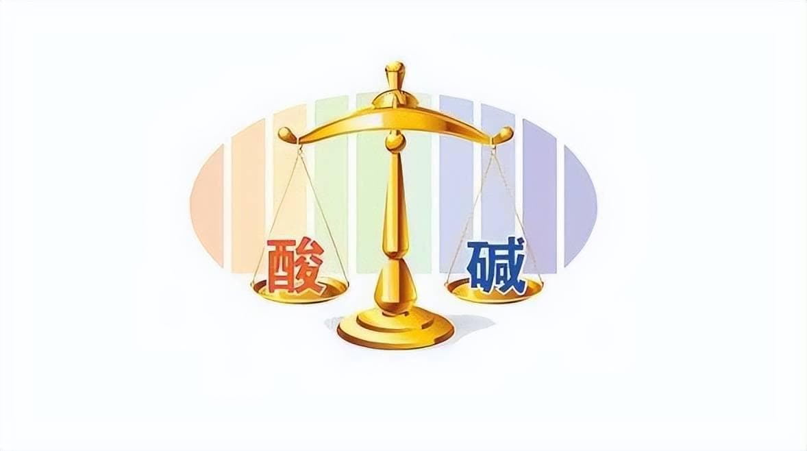 碱性食物有哪些? 从A到Z：全面解析碱性食物的种类与营养价值