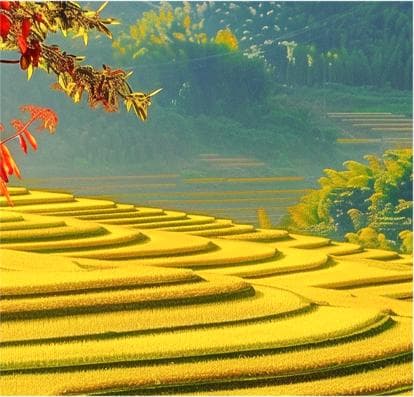 长武县秋季养生指南：顺应节气，健康过秋