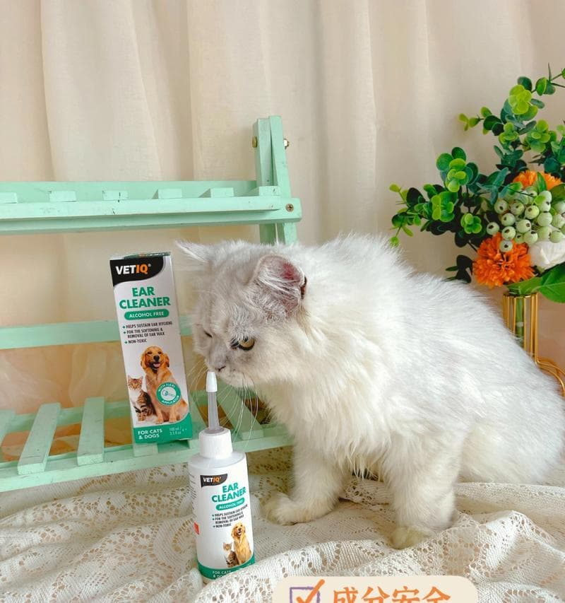 小猫的耳朵需求（揭秘小猫喜欢的耳朵擦拭工具和技巧）
