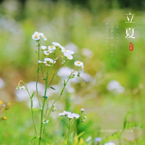 2025年入夏时间是几月几号(2025年几月份是夏天)