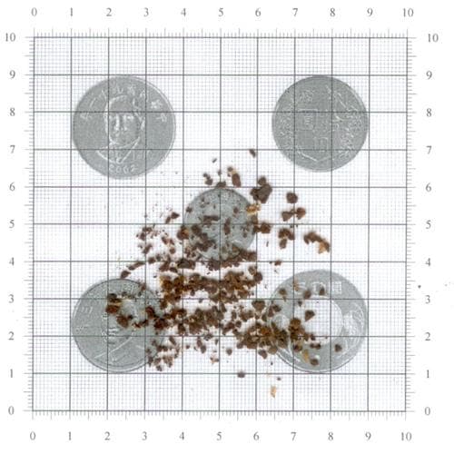 咖啡研磨粗细对照表：小飞X磨豆机各刻度对应的研磨颗粒直径大小