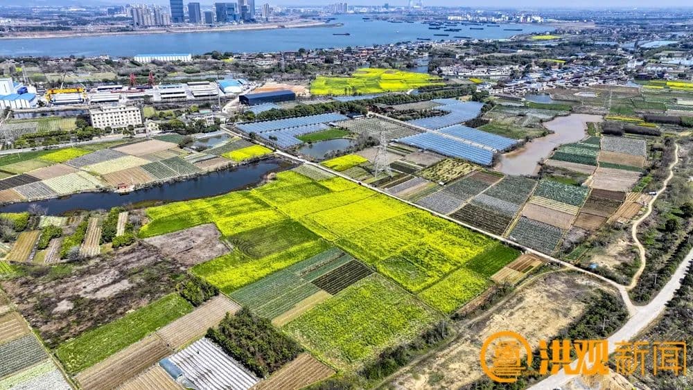 农业向新 乡村提质 南昌因地制宜培育发展农业新质生产力