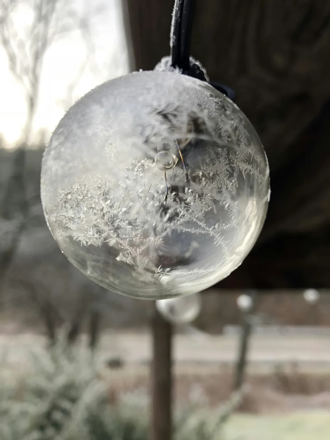 四九天暖和，春节会有雪吗？