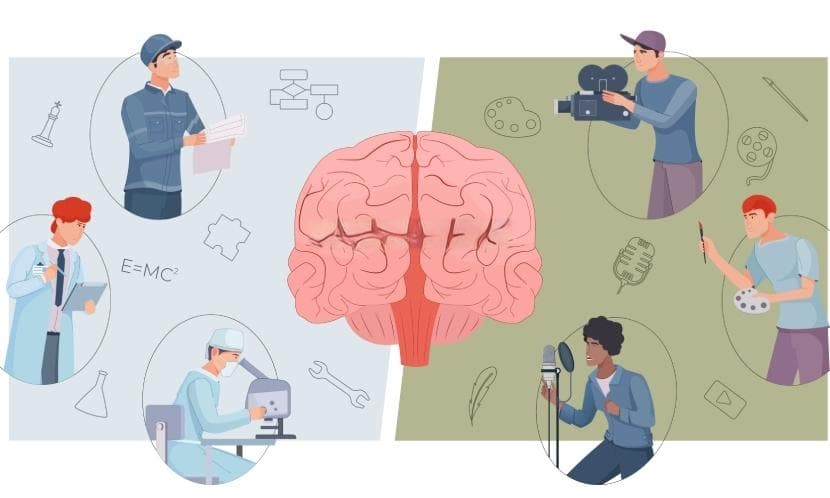 对抗健忘！大脑医学专家推荐的记忆法，3步就能健脑