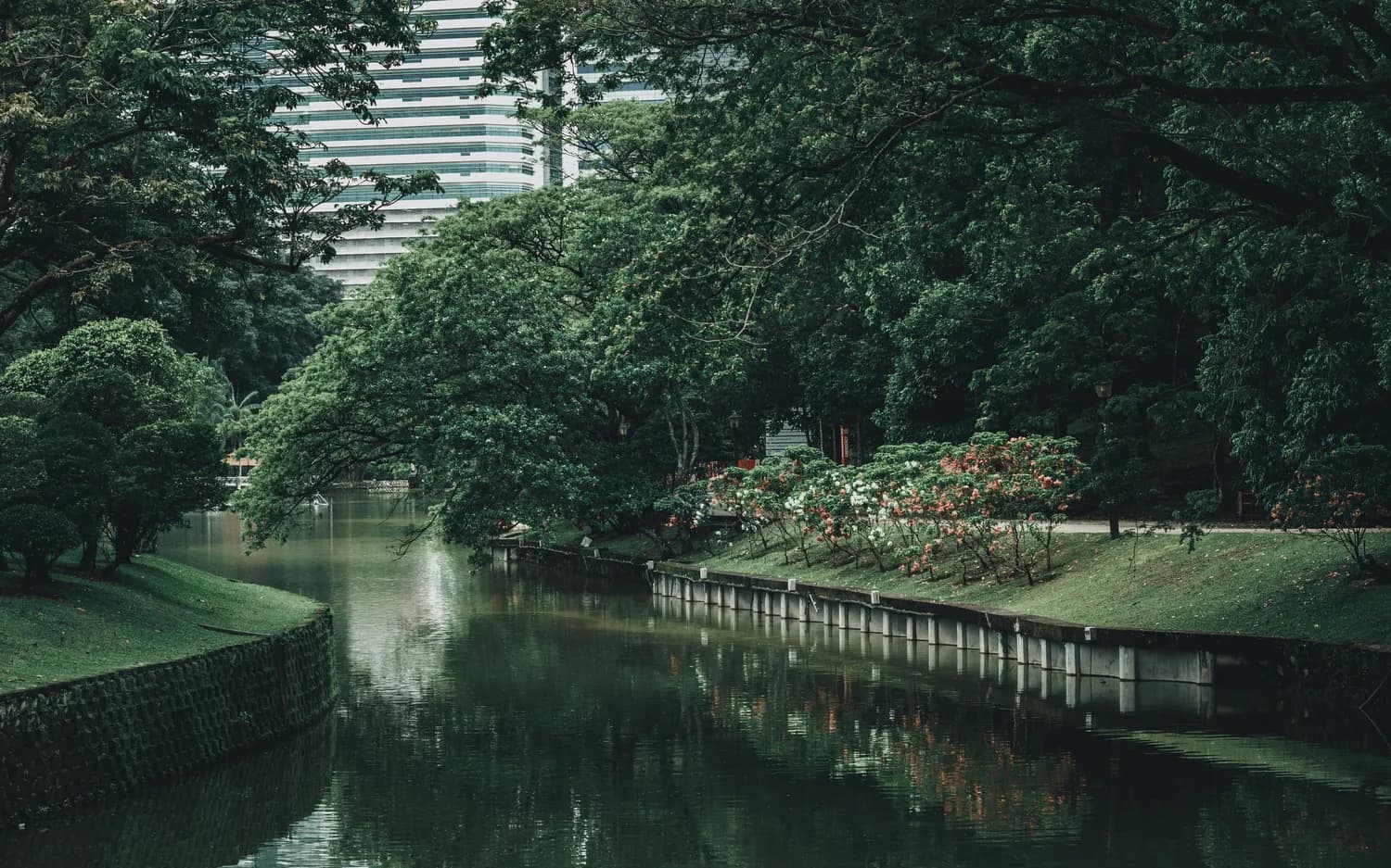 荔枝湾涌：从千年水乡到生态景观，岭南文化的新地标