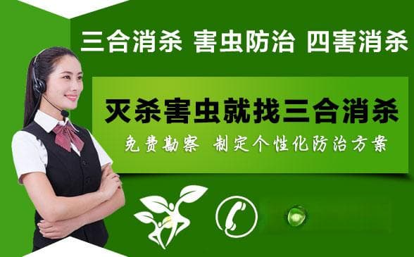 防治蟑螂的昆虫生长调节剂研究进展