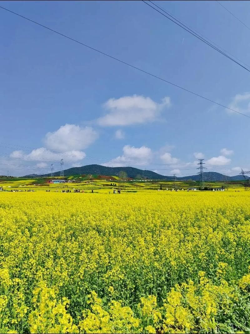从心理学角度解读"喜"的情感表达与意义