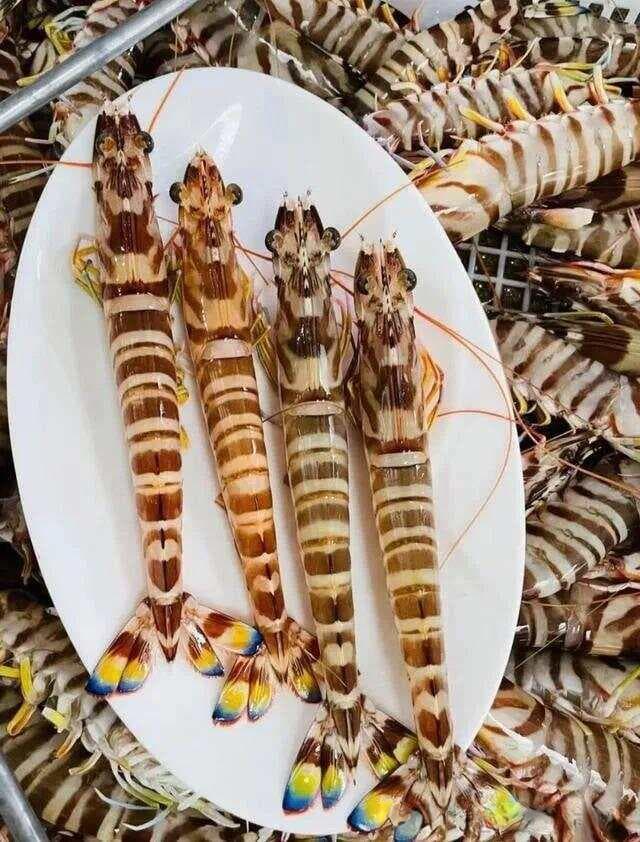 河虾海虾怎么选？7种常见虾类选购指南
