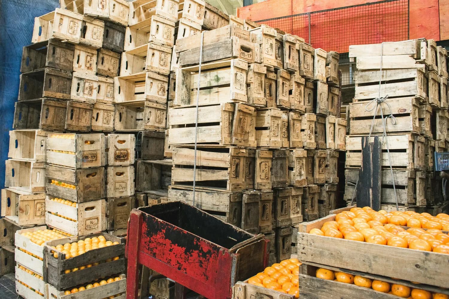橘子成春节送礼佳品，寓意吉祥好运