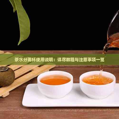 茶水分离杯使用说明：详尽教程与注意事项一览