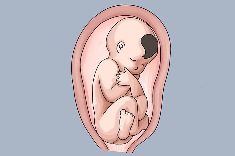 揭秘胎儿呼吸：胎盘和脐带如何支持生命