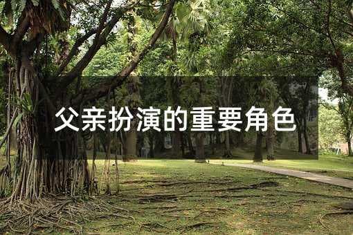 父亲扮演的重要角色